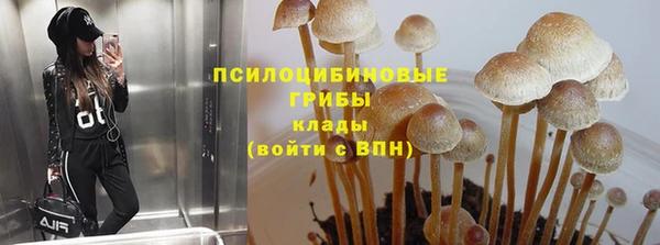 ГАЛЛЮЦИНОГЕННЫЕ ГРИБЫ Аркадак