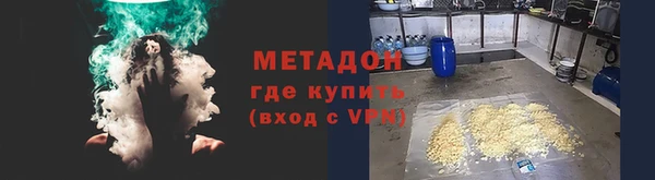 ГАЛЛЮЦИНОГЕННЫЕ ГРИБЫ Аркадак