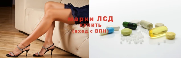 ГАЛЛЮЦИНОГЕННЫЕ ГРИБЫ Аркадак