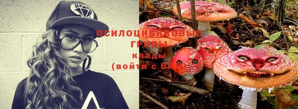 ГАЛЛЮЦИНОГЕННЫЕ ГРИБЫ Аркадак