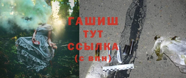 ГАЛЛЮЦИНОГЕННЫЕ ГРИБЫ Аркадак