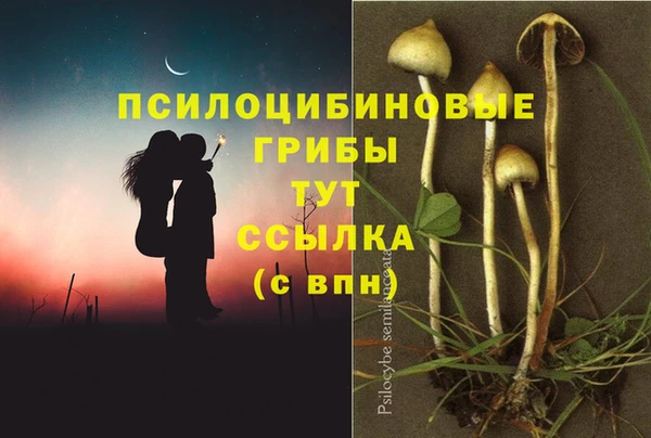 стафф Армянск