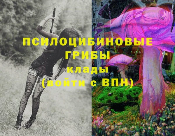 стафф Армянск