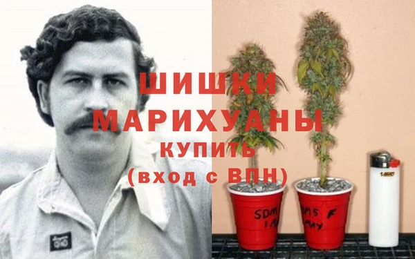 стафф Армянск