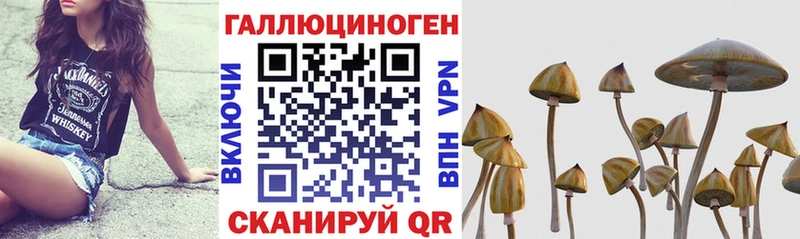 Псилоцибиновые грибы мицелий Мончегорск