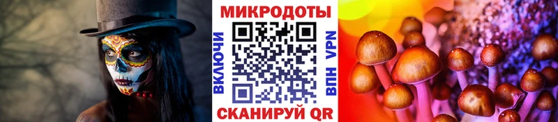 Галлюциногенные грибы MAGIC MUSHROOMS  закладка  kraken зеркало  Мончегорск 